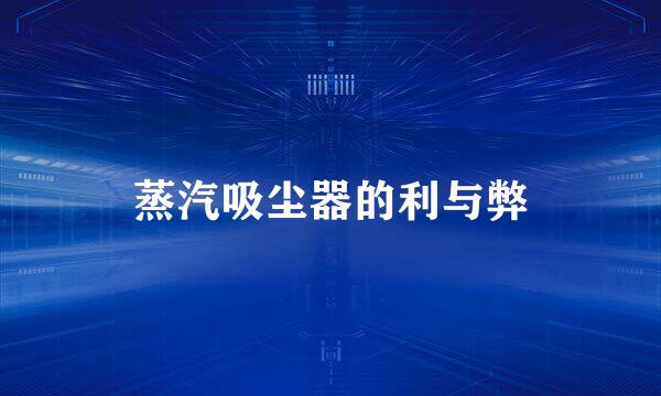 蒸汽吸尘器的利与弊