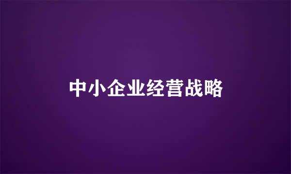 中小企业经营战略