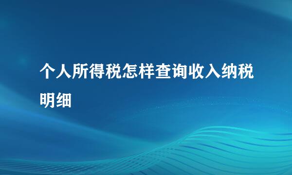个人所得税怎样查询收入纳税明细
