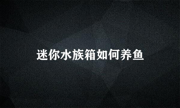 迷你水族箱如何养鱼