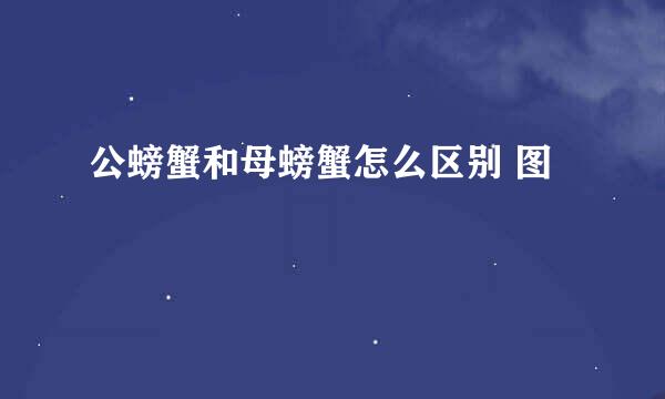 公螃蟹和母螃蟹怎么区别 图