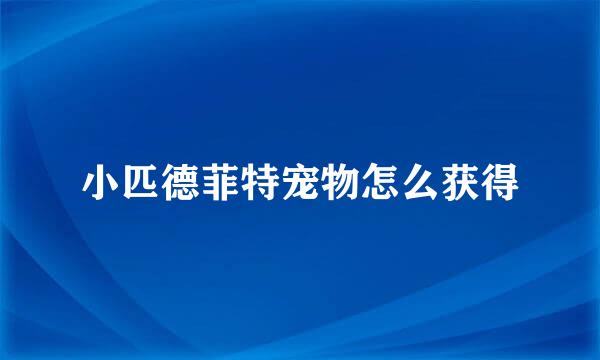 小匹德菲特宠物怎么获得