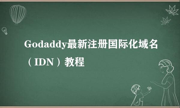 Godaddy最新注册国际化域名(IDN)教程