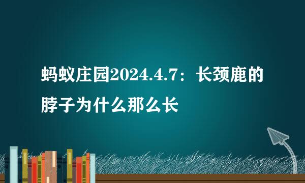 蚂蚁庄园2024.4.7：长颈鹿的脖子为什么那么长