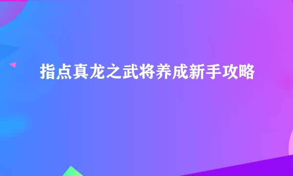 指点真龙之武将养成新手攻略