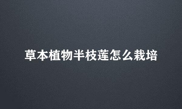 草本植物半枝莲怎么栽培