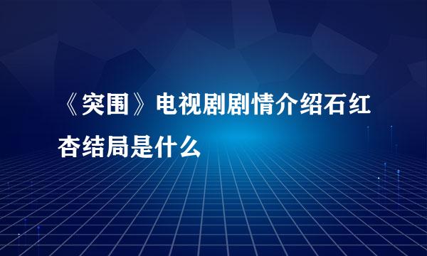 《突围》电视剧剧情介绍石红杏结局是什么