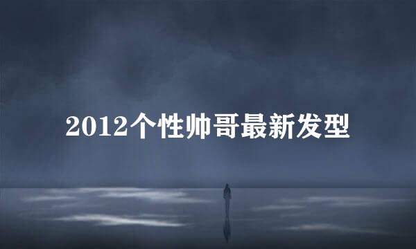 2012个性帅哥最新发型