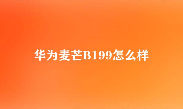 华为麦芒B199怎么样