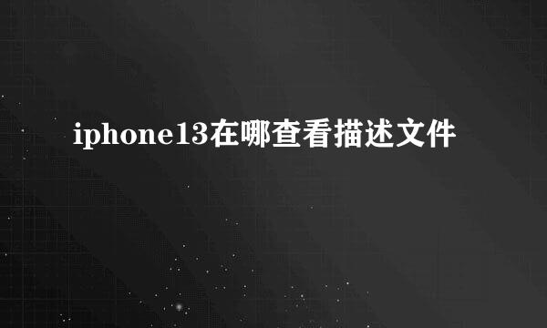 iphone13在哪查看描述文件