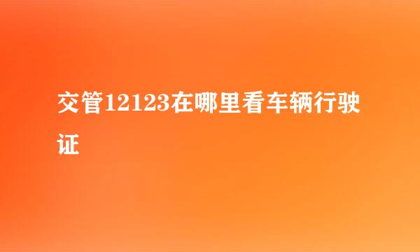 交管12123在哪里看车辆行驶证
