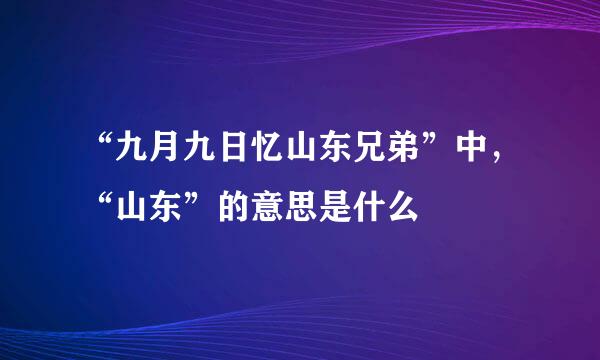 “九月九日忆山东兄弟”中，“山东”的意思是什么