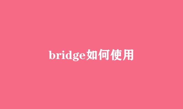 bridge如何使用
