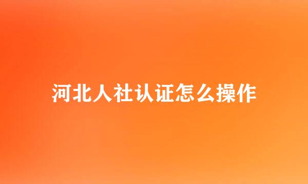河北人社认证怎么操作