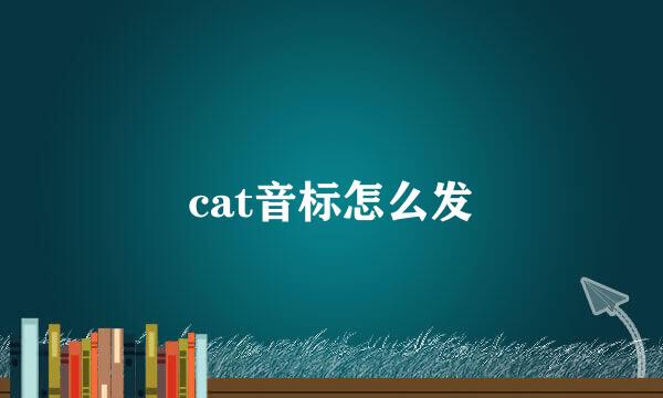 cat音标怎么发