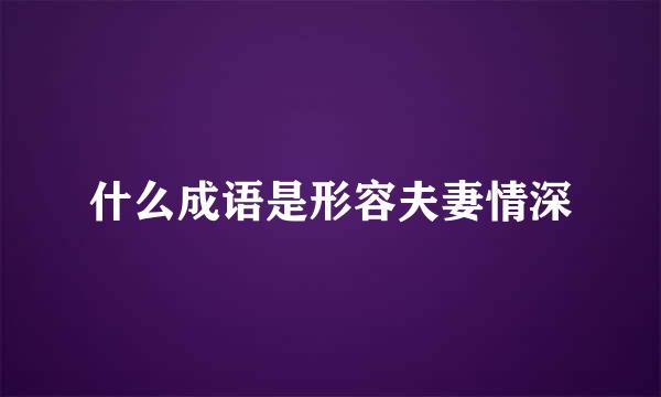 什么成语是形容夫妻情深