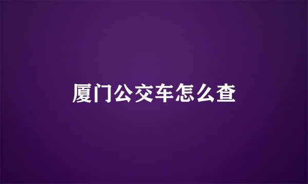 厦门公交车怎么查