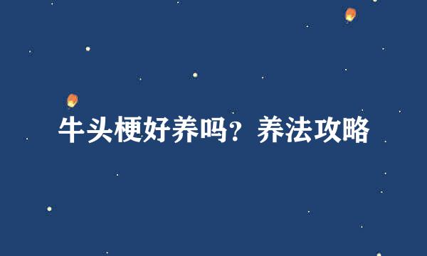 牛头梗好养吗？养法攻略