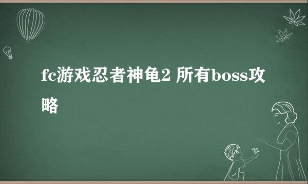 fc游戏忍者神龟2 所有boss攻略