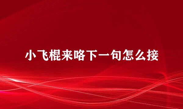 小飞棍来咯下一句怎么接