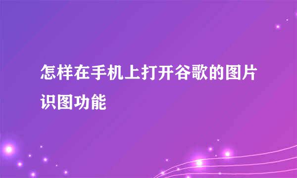 怎样在手机上打开谷歌的图片识图功能