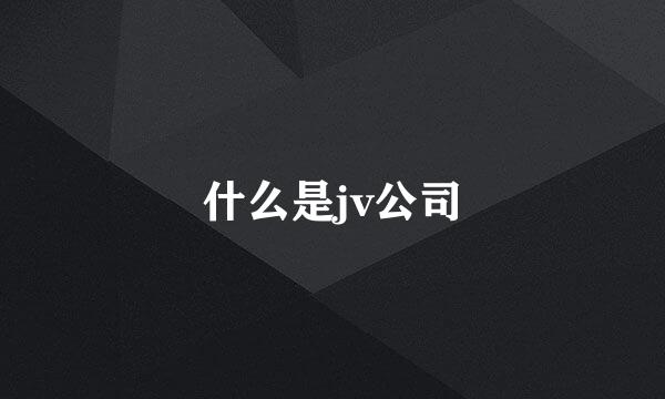 什么是jv公司