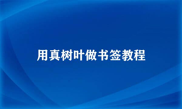 用真树叶做书签教程