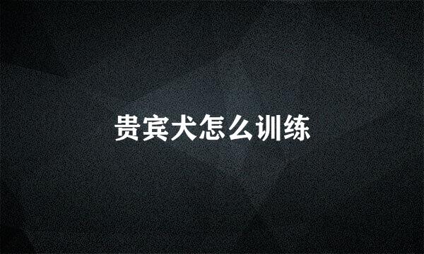 贵宾犬怎么训练