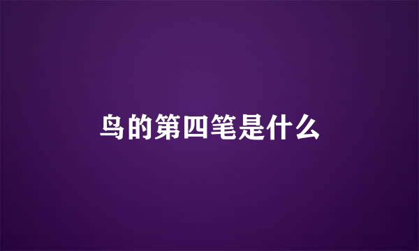 鸟的第四笔是什么
