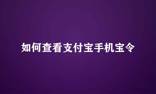 如何查看支付宝手机宝令