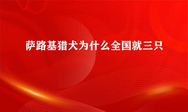 萨路基猎犬为什么全国就三只