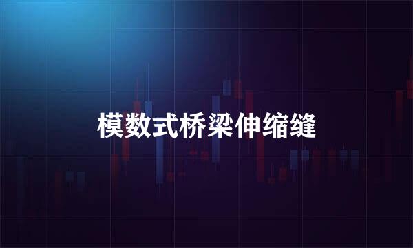模数式桥梁伸缩缝