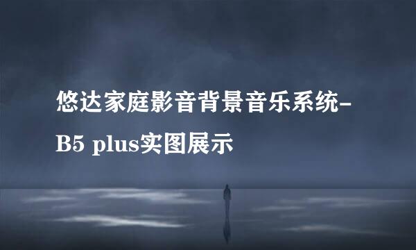 悠达家庭影音背景音乐系统-B5 plus实图展示