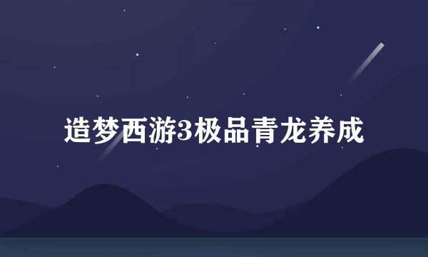 造梦西游3极品青龙养成