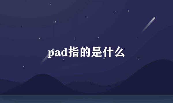 pad指的是什么