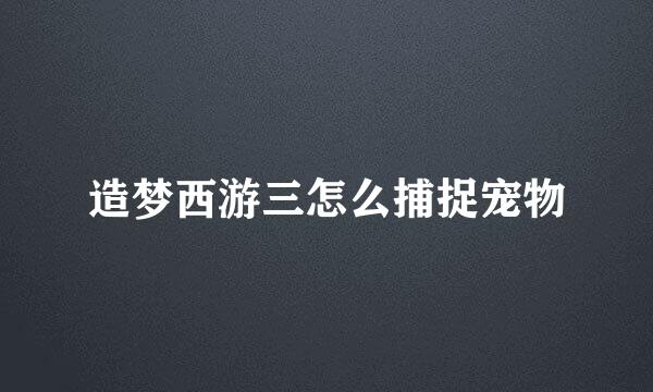 造梦西游三怎么捕捉宠物