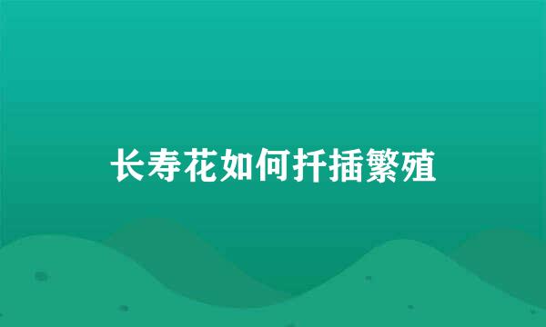 长寿花如何扦插繁殖