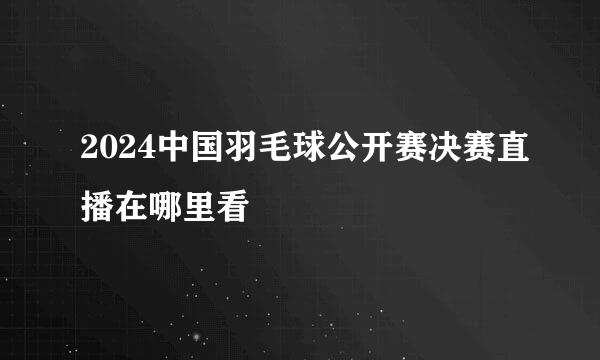 2024中国羽毛球公开赛决赛直播在哪里看