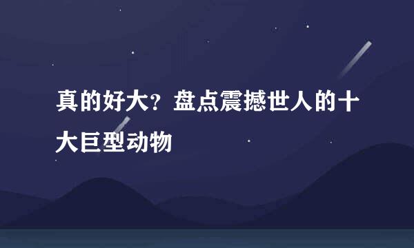 真的好大？盘点震撼世人的十大巨型动物