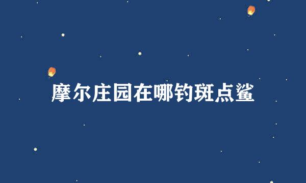 摩尔庄园在哪钓斑点鲨