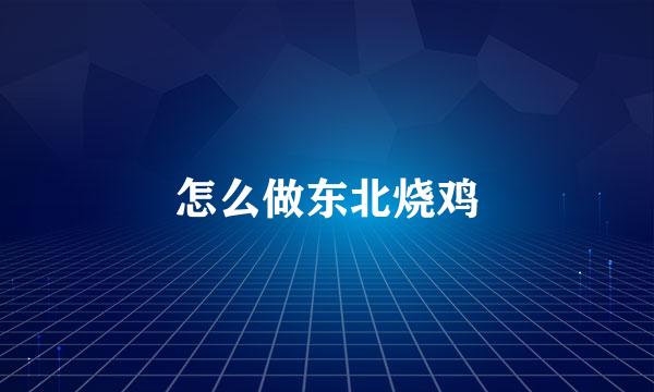 怎么做东北烧鸡