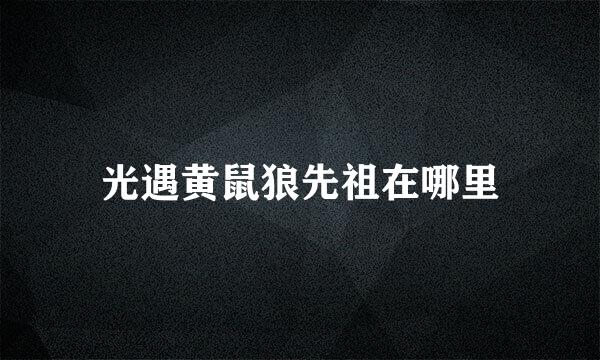 光遇黄鼠狼先祖在哪里