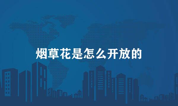 烟草花是怎么开放的