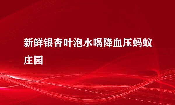 新鲜银杏叶泡水喝降血压蚂蚁庄园
