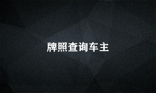 牌照查询车主
