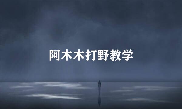 阿木木打野教学