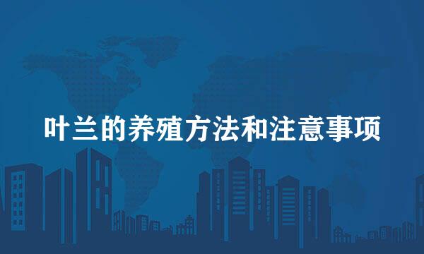 叶兰的养殖方法和注意事项