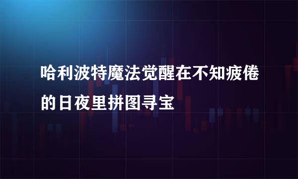 哈利波特魔法觉醒在不知疲倦的日夜里拼图寻宝