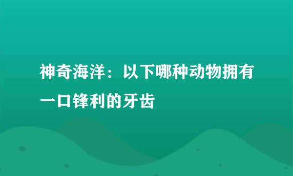 神奇海洋：以下哪种动物拥有一口锋利的牙齿