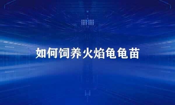 如何饲养火焰龟龟苗